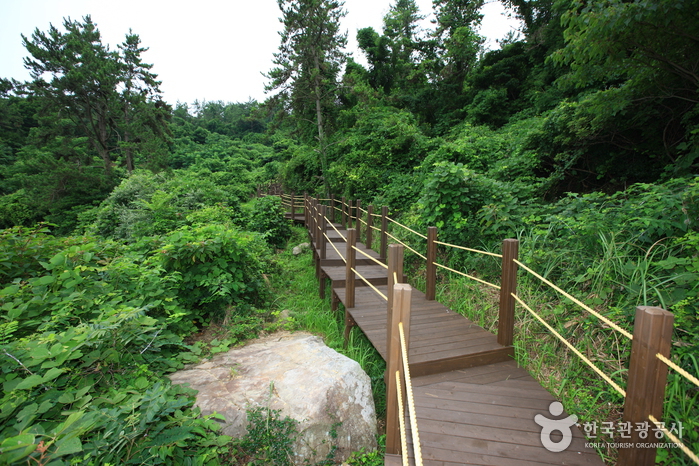 가학산 여행 추천 - 메고지고 가학산 여행 추천 - 메고지고
