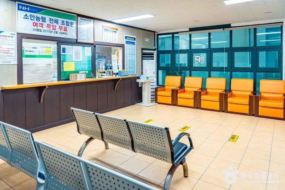 소안항 여행 추천 - 메고지고