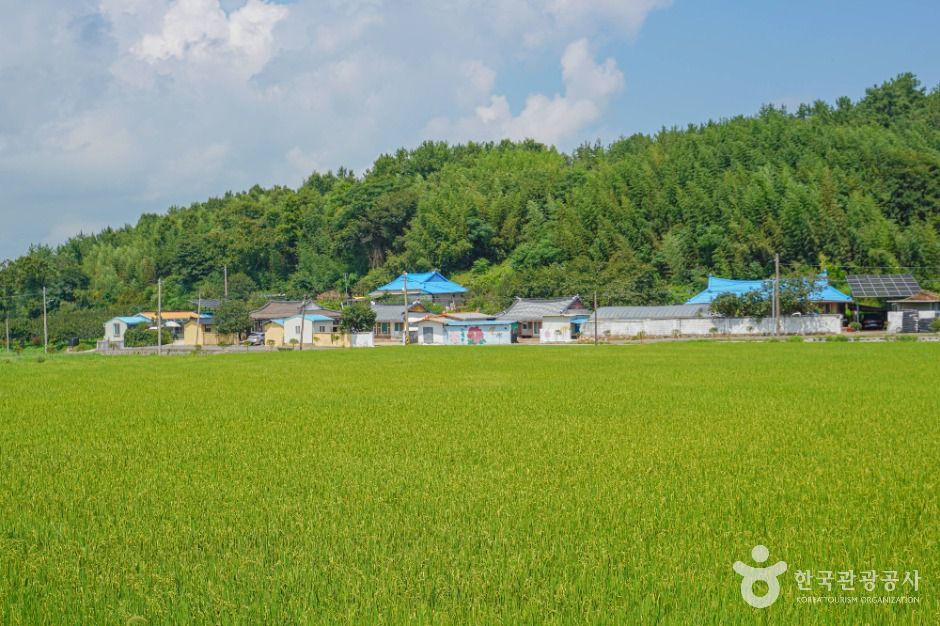 강진 갯들소리마을 여행 추천 - 메고지고