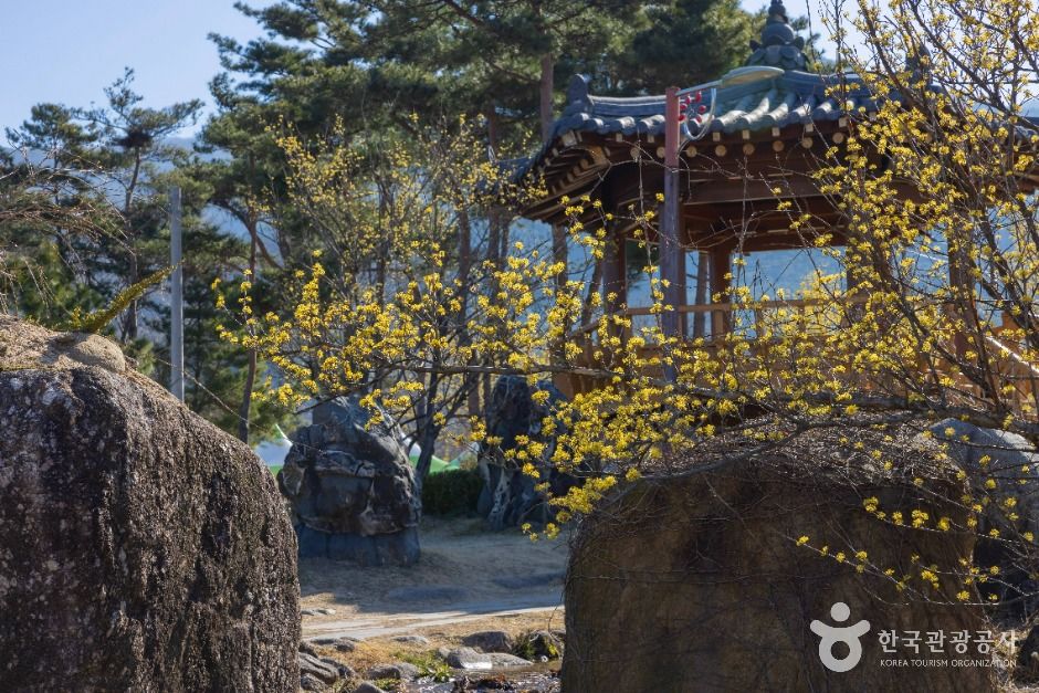 구례 산수유마을 여행 추천 - 메고지고 구례 산수유마을 여행 추천 - 메고지고