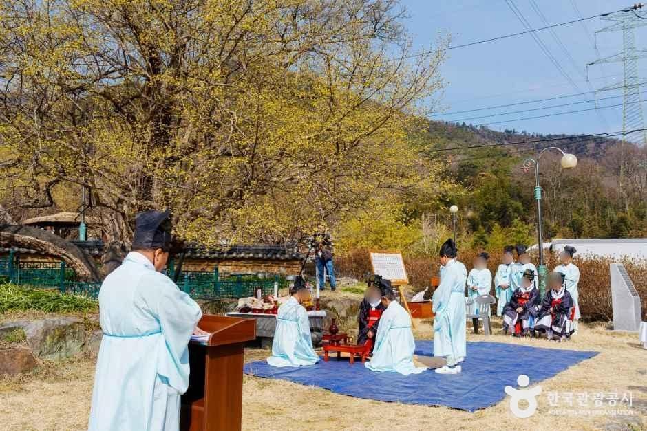 구례 산수유마을 여행 추천 - 메고지고 구례 산수유마을 여행 추천 - 메고지고