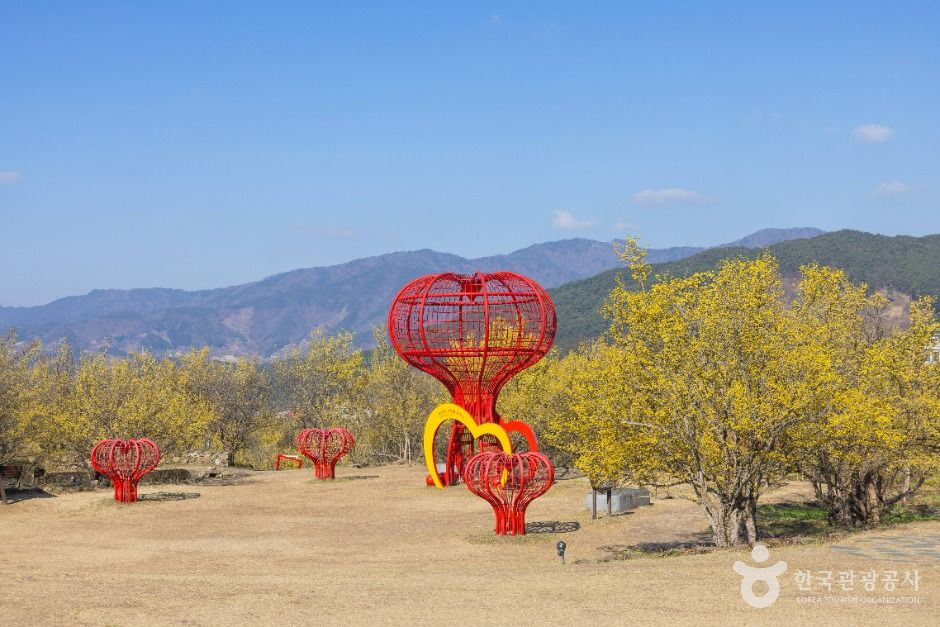 구례 산수유마을 여행 추천 - 메고지고 구례 산수유마을 여행 추천 - 메고지고