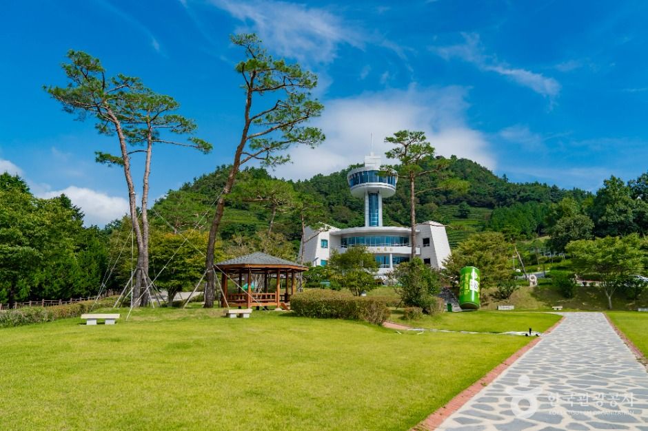 한국차문화공원 여행 추천 - 메고지고 한국차문화공원 여행 추천 - 메고지고