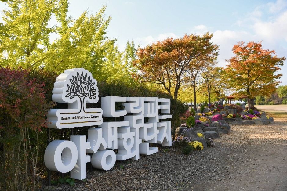 수도권매립지 드림파크 야생화단지 여행 추천 - 메고지고 수도권매립지 드림파크 야생화단지 여행 추천 - 메고지고