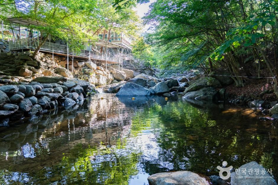 성불계곡 여행 추천 - 메고지고 성불계곡 여행 추천 - 메고지고