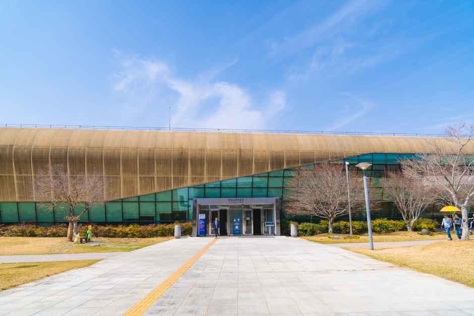 국립나주박물관 여행 추천 - 메고지고 국립나주박물관 여행 추천 - 메고지고