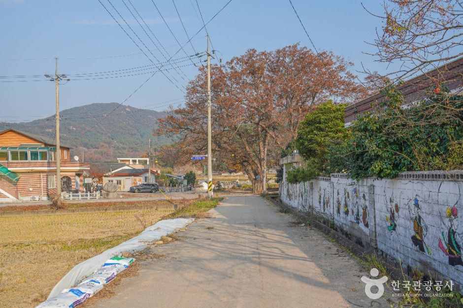 영광 용암마을 여행 추천 - 메고지고