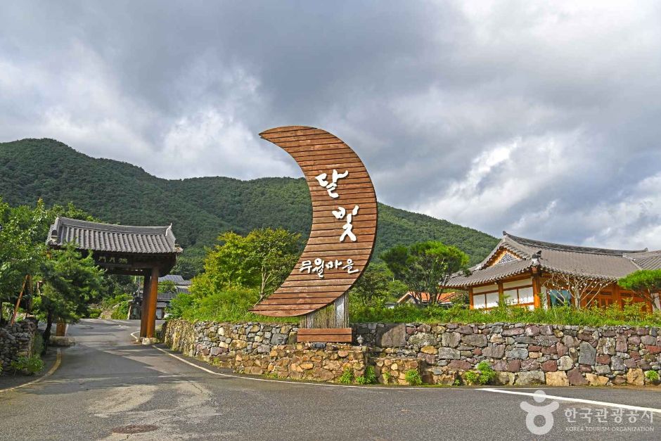 무월마을 여행 추천 - 메고지고 무월마을 여행 추천 - 메고지고