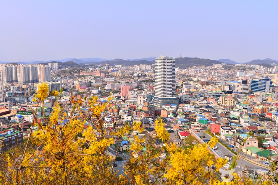 목포 관광특구 여행 추천 - 메고지고 목포 관광특구 여행 추천 - 메고지고