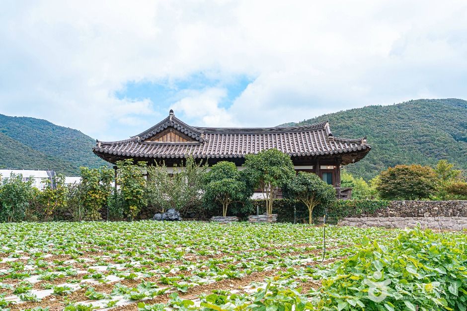 진도 의신사천마을 [농촌체험휴양마을] 여행 추천 - 메고지고