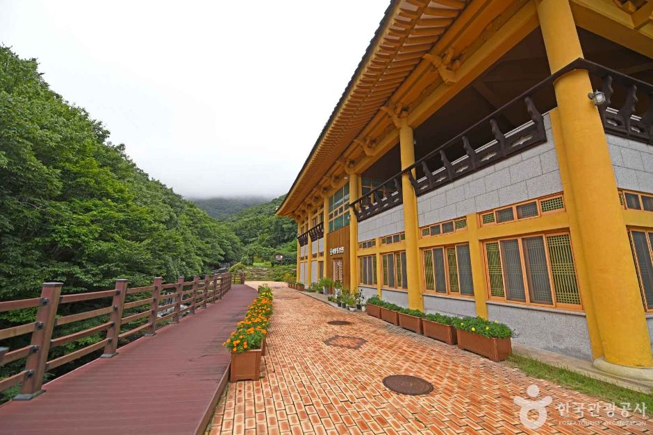 거금생태숲 여행 추천 - 메고지고 거금생태숲 여행 추천 - 메고지고
