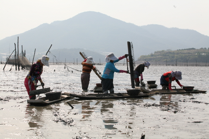 장도 여행 추천 - 메고지고 장도 여행 추천 - 메고지고