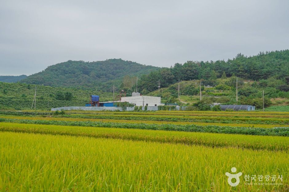 월선체험 휴양마을 여행 추천 - 메고지고 월선체험 휴양마을 여행 추천 - 메고지고