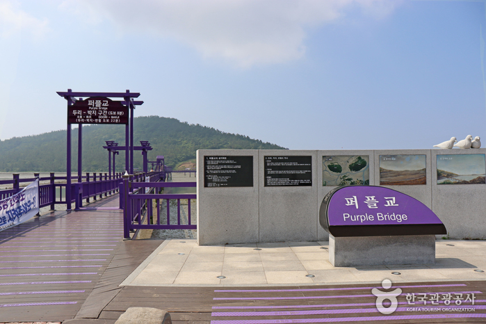 퍼플교 여행 추천 - 메고지고 퍼플교 여행 추천 - 메고지고