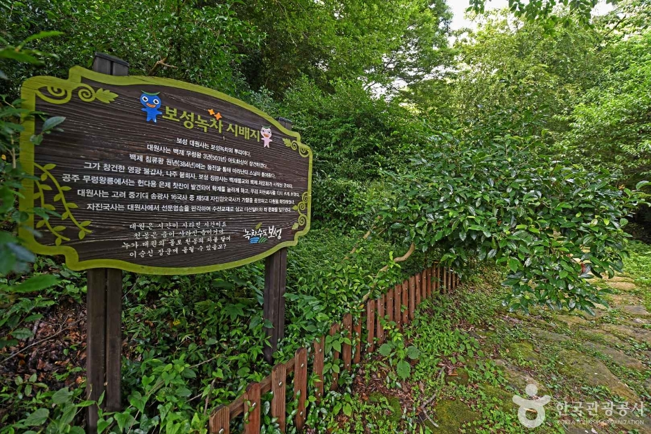 보성녹차 시배지 여행 추천 - 메고지고 보성녹차 시배지 여행 추천 - 메고지고