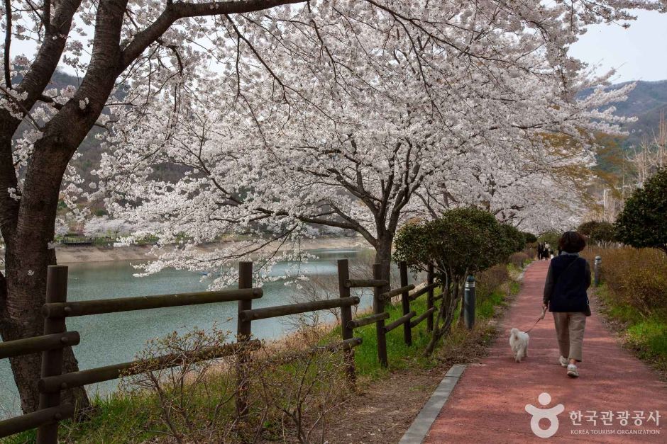 동구리호수공원 여행 추천 - 메고지고