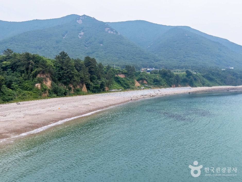 금장해수욕장 여행 추천 - 메고지고 금장해수욕장 여행 추천 - 메고지고