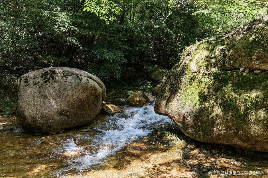 월출산국립공원 경포대지구 여행 추천 - 메고지고 월출산국립공원 경포대지구 여행 추천 - 메고지고