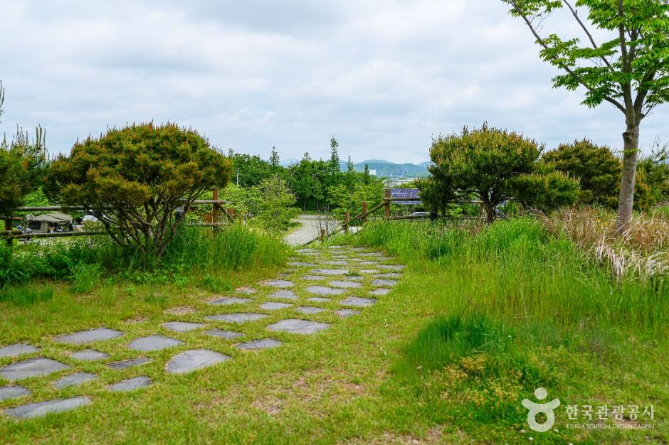 억새밸리존 여행 추천 - 메고지고