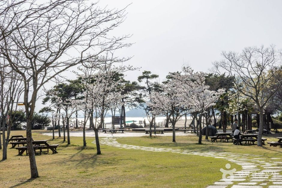 와온공원 여행 추천 - 메고지고 와온공원 여행 추천 - 메고지고