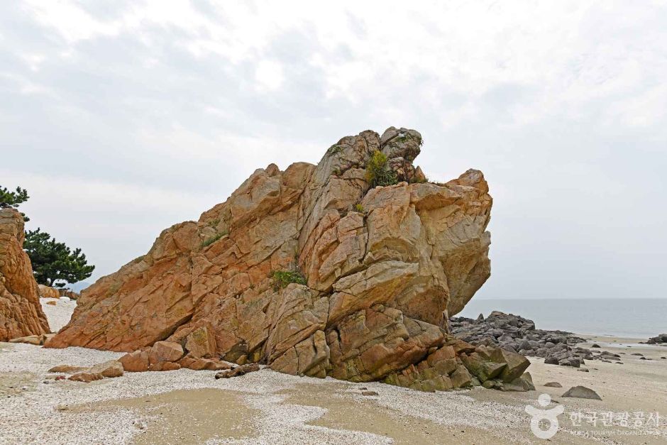 거북바위 여행 추천 - 메고지고
