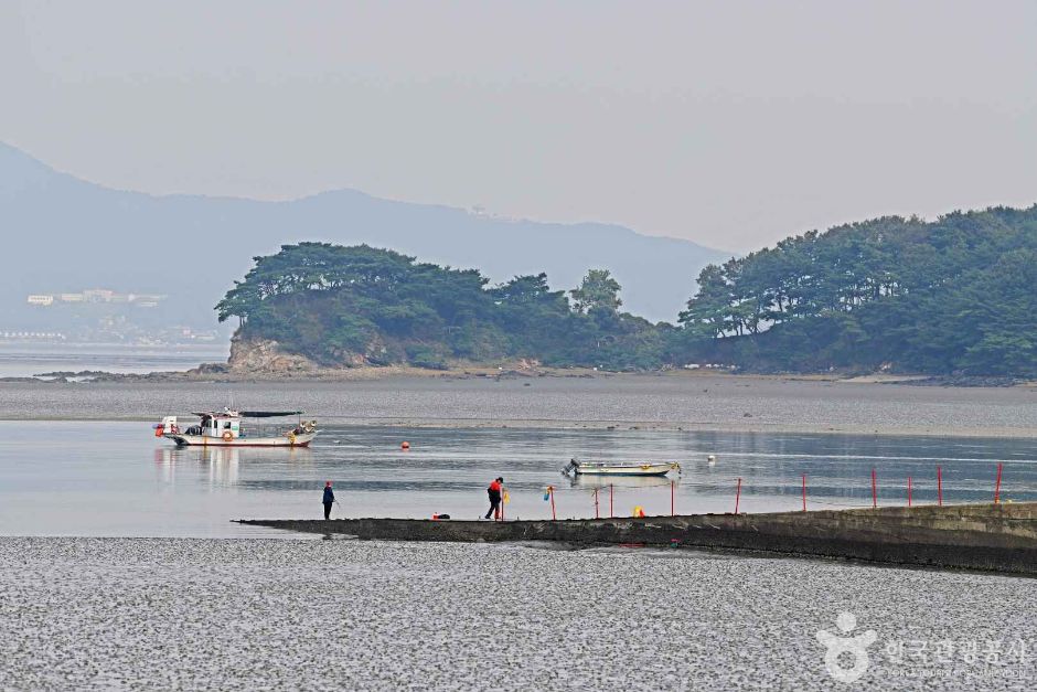 예단포선착장 여행 추천 - 메고지고 예단포선착장 여행 추천 - 메고지고