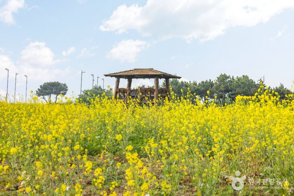 하늘정원 여행 추천 - 메고지고