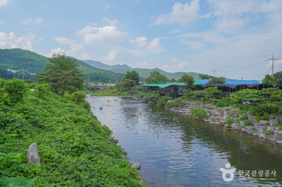 동가리계곡 여행 추천 - 메고지고 동가리계곡 여행 추천 - 메고지고