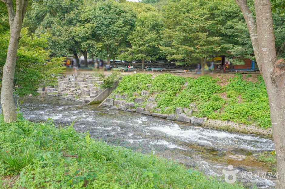 동가리계곡 여행 추천 - 메고지고 동가리계곡 여행 추천 - 메고지고