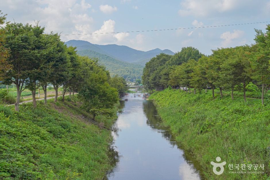 동가리계곡 여행 추천 - 메고지고 동가리계곡 여행 추천 - 메고지고