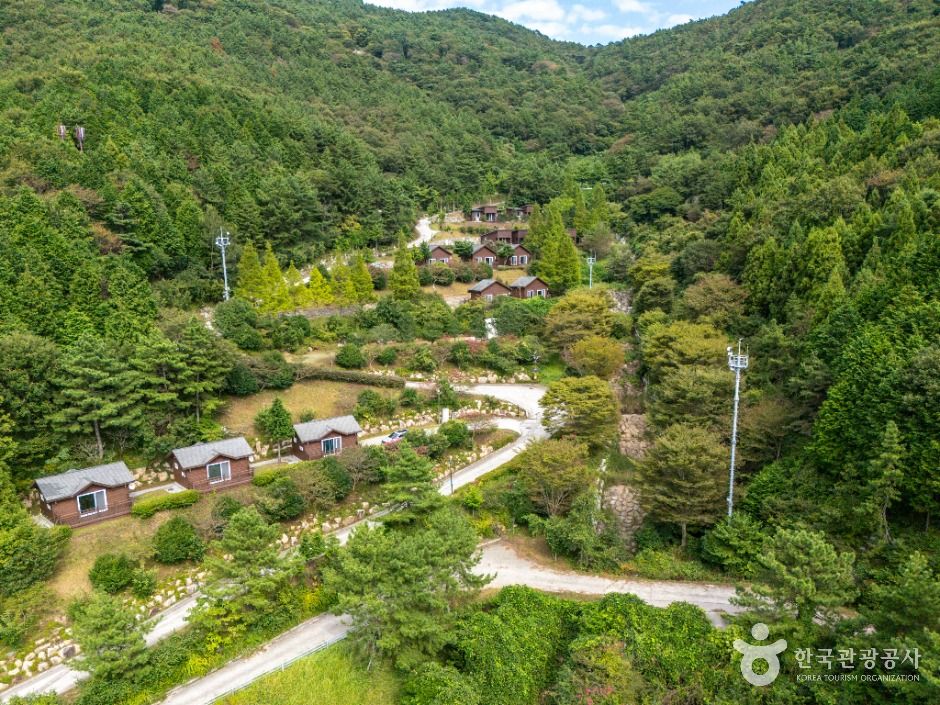 봉황산자연휴양림 여행 추천 - 메고지고