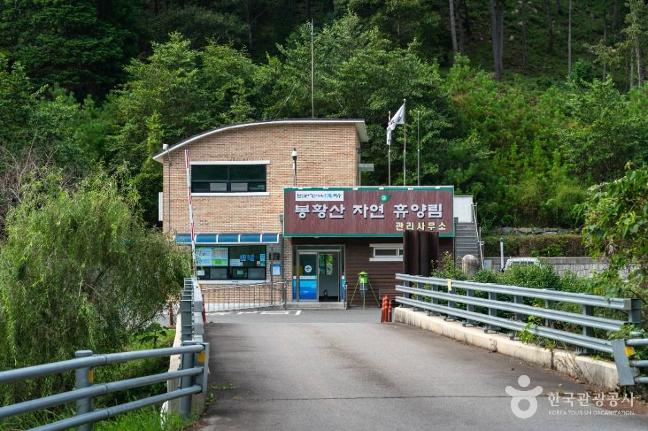봉황산자연휴양림 여행 추천 - 메고지고