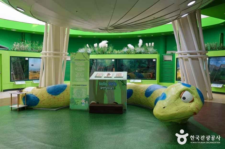 함평양서파충류생태공원 여행 추천 - 메고지고