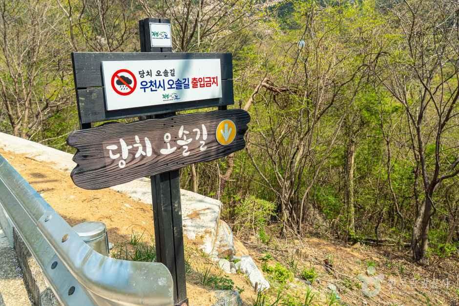 당치마을 여행 추천 - 메고지고 당치마을 여행 추천 - 메고지고