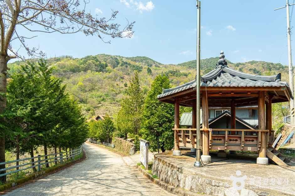 당치마을 여행 추천 - 메고지고 당치마을 여행 추천 - 메고지고