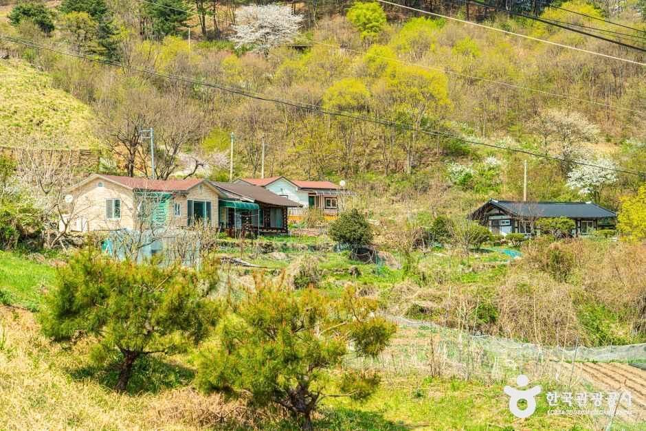 농평마을 여행 추천 - 메고지고