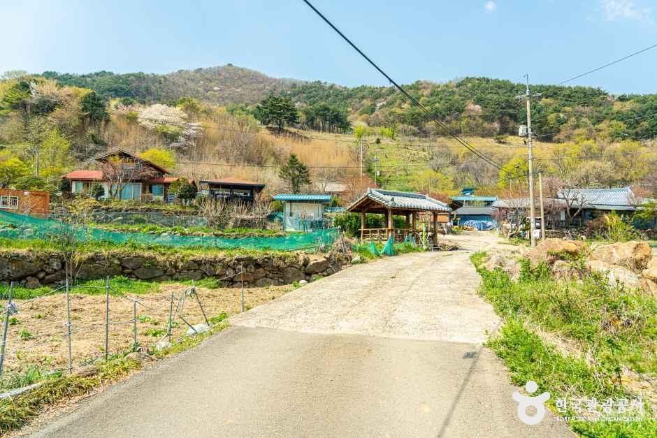 농평마을 여행 추천 - 메고지고