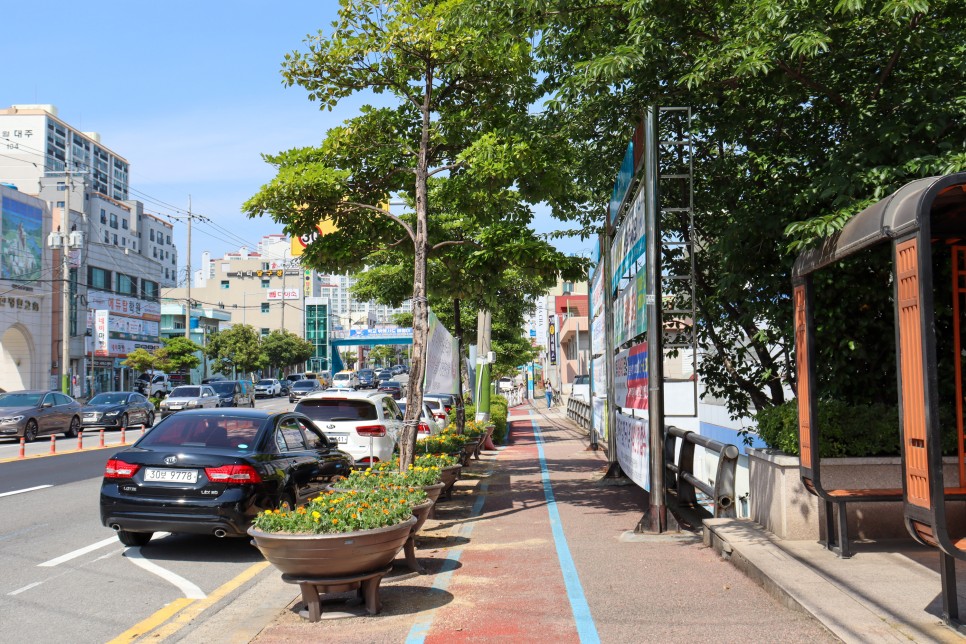 오동도-여자만자전거길 여행 추천 - 메고지고