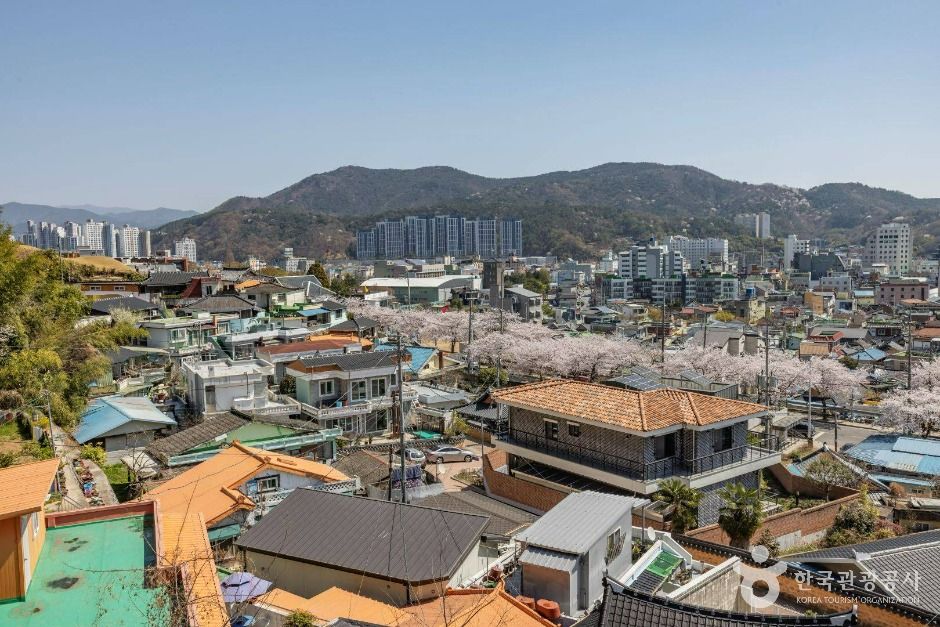 공마당둘레길 여행 추천 - 메고지고 공마당둘레길 여행 추천 - 메고지고