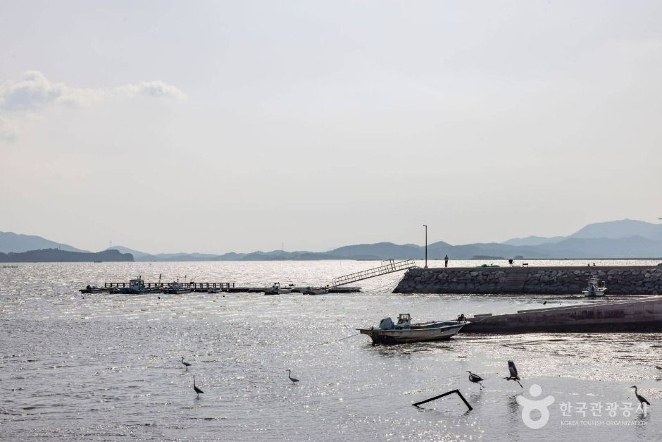 화포해변 여행 추천 - 메고지고 화포해변 여행 추천 - 메고지고