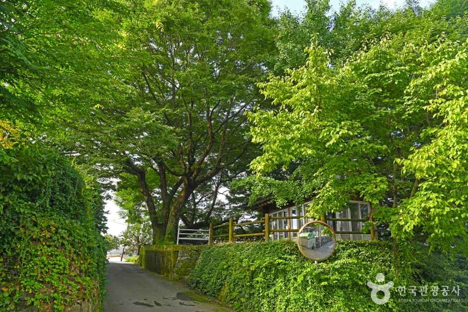 온동마을 여행 추천 - 메고지고