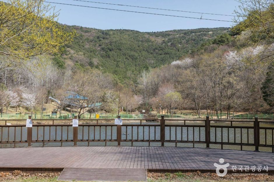 기적의놀이터 4호 올라올라 여행 추천 - 메고지고 기적의놀이터 4호 올라올라 여행 추천 - 메고지고