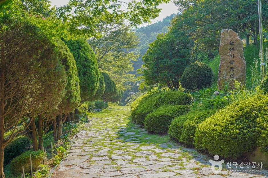 숲쟁이공원 여행 추천 - 메고지고 숲쟁이공원 여행 추천 - 메고지고