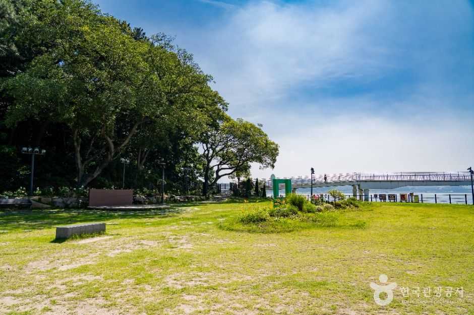 배알도 섬 정원 여행 추천 - 메고지고 배알도 섬 정원 여행 추천 - 메고지고