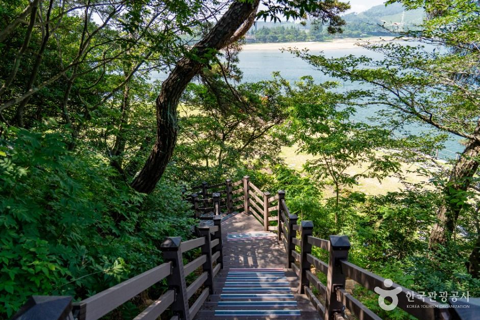 배알도 섬 정원 여행 추천 - 메고지고 배알도 섬 정원 여행 추천 - 메고지고