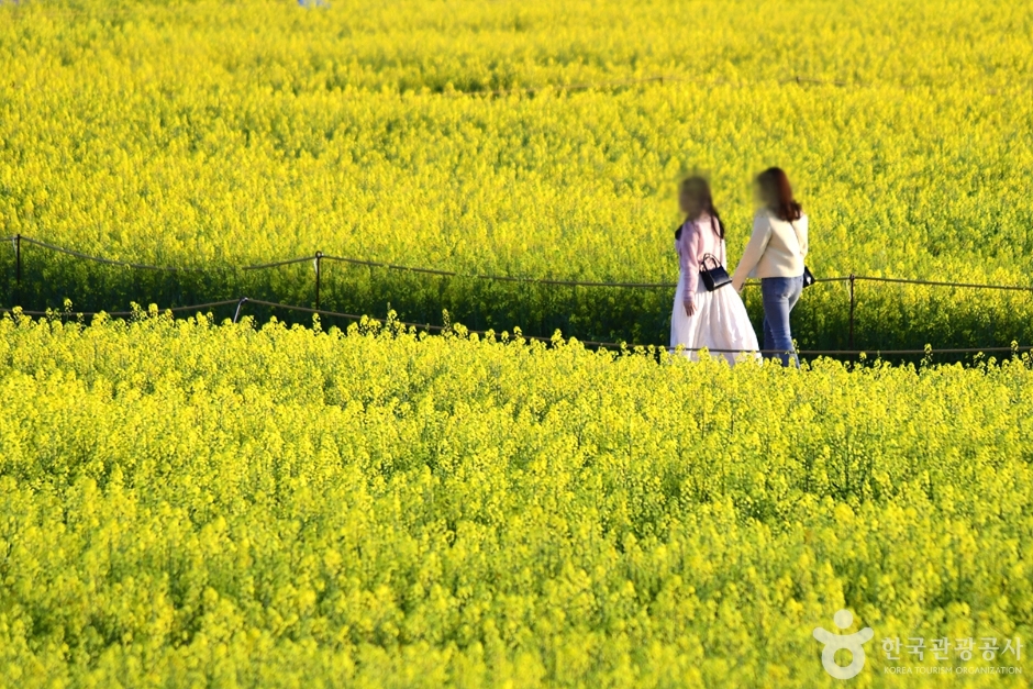 영산강둔치체육공원 여행 추천 - 메고지고 영산강둔치체육공원 여행 추천 - 메고지고