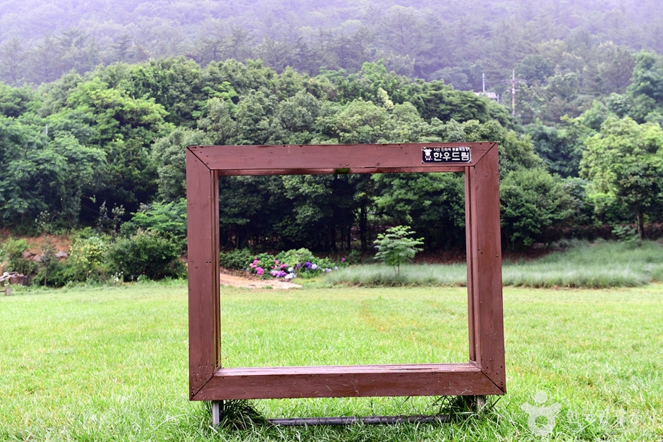 한우드림 동물체험장 여행 추천 - 메고지고