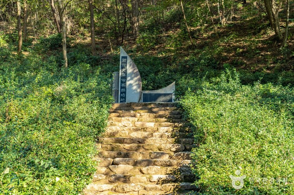 구례 장죽전 녹차시배지 여행 추천 - 메고지고