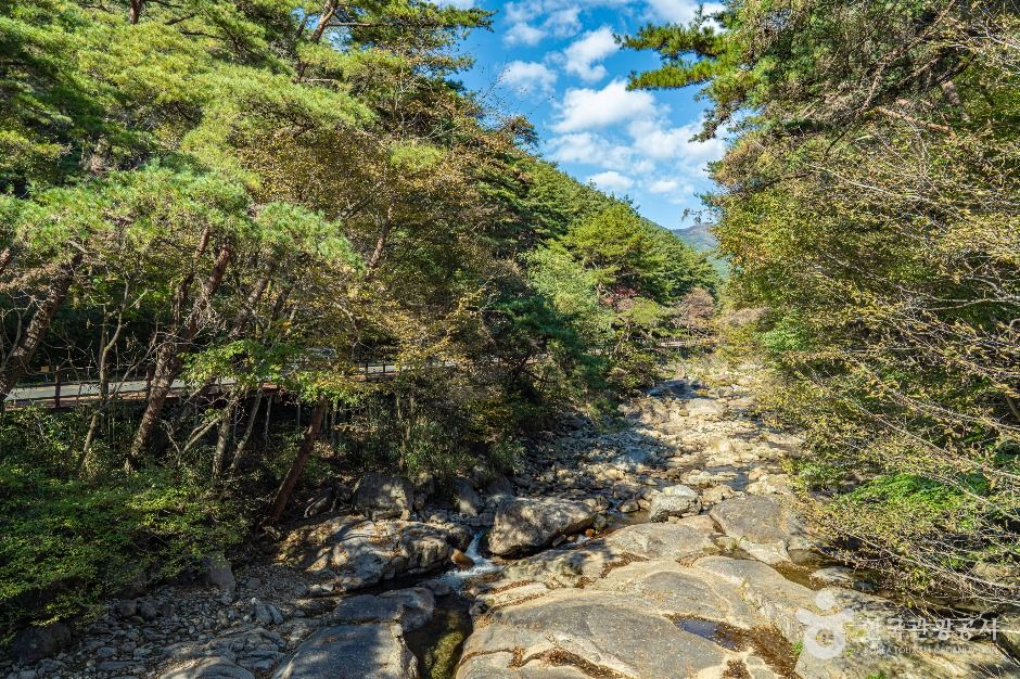 구례 장죽전 녹차시배지 여행 추천 - 메고지고