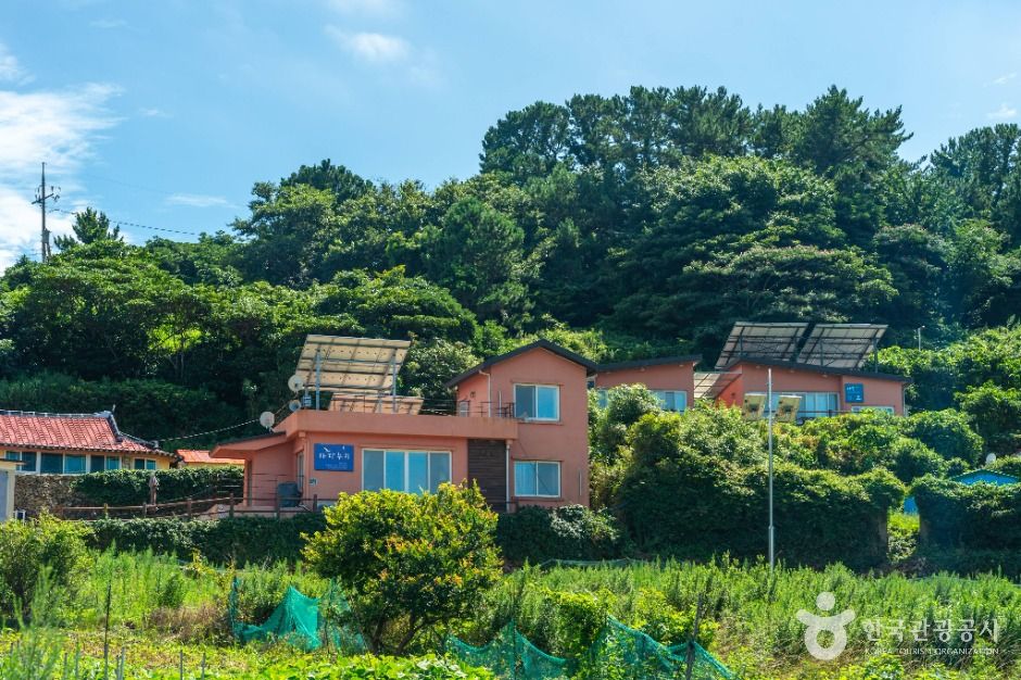 동고지마을 여행 추천 - 메고지고